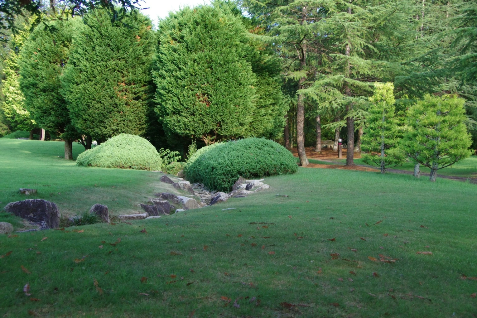 A grassy area with rocks and trees in the background